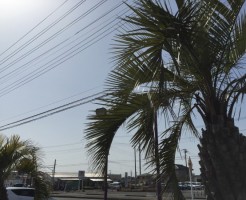館山あったかい